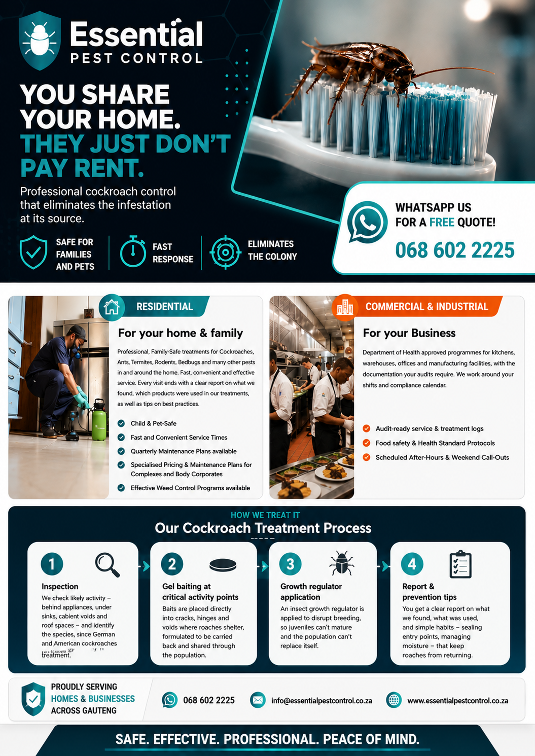 Essential Pest Control Services