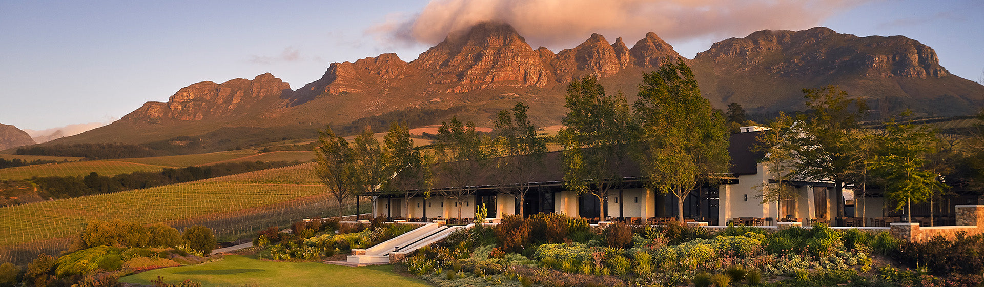 Ernie Els Wines — estate photo 2