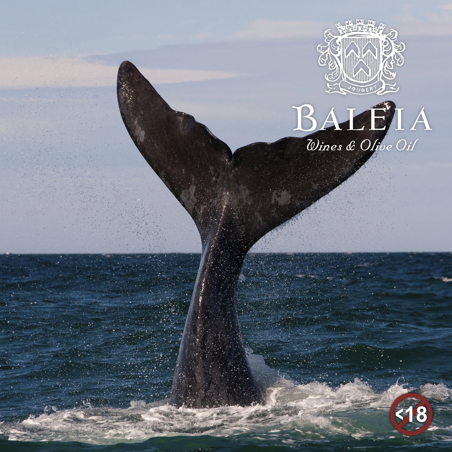 Baleia Wines wine estate